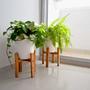 MATERO RATTAN REDONDO X 36 UND BLANCO