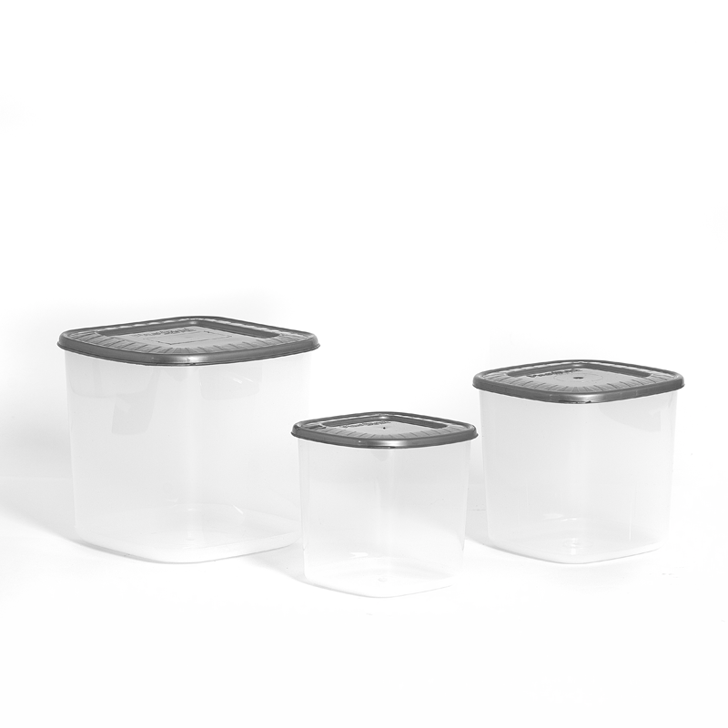 CONTENEDOR MULTIUSOS SET X 5 X 6 UND GRIS PLATA